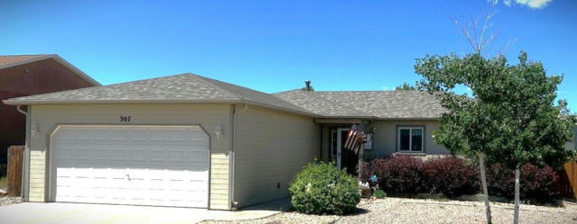 307 HIGH MEADOWS WAY, FLORENCE, CO 81226 - Image 1