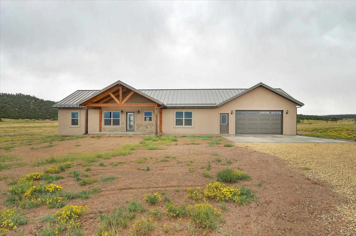 1441 COUNTY ROAD 310, WESTCLIFFE, CO 81252, photo 1 of 27