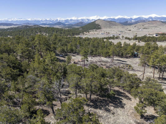 TBD L PATH, COTOPAXI, CO 81223, photo 4 of 5