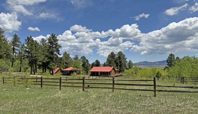 5838 COUNTY ROAD 130, WESTCLIFFE, CO 81252 - Image 1