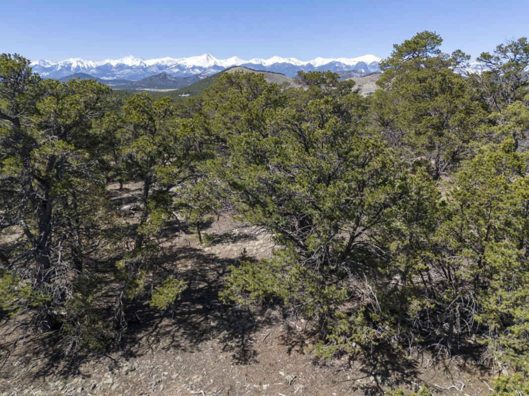 TBD L PATH, COTOPAXI, CO 81223, photo 1 of 5