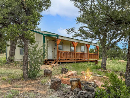 962 43RD TRL, COTOPAXI, CO 81223 - Image 1