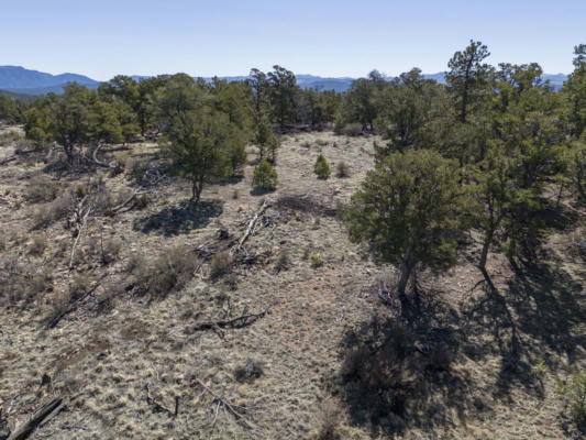 TBD L PATH, COTOPAXI, CO 81223, photo 5 of 5