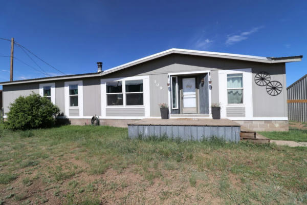 109 COUNTY ROAD 244, WESTCLIFFE, CO 81252 - Image 1