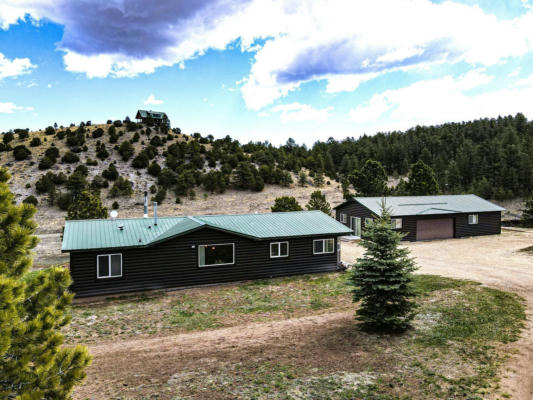 966 BUNKER HILL RD, SILVER CLIFF, CO 81252 - Image 1